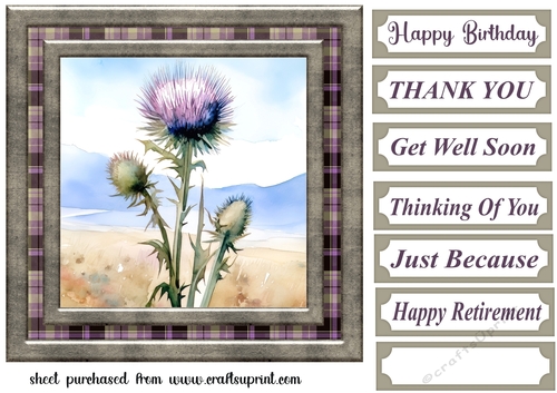 Tartan thistle card front 10