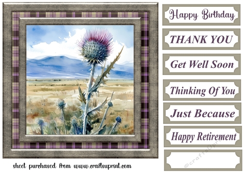 Tartan thistle card front 11