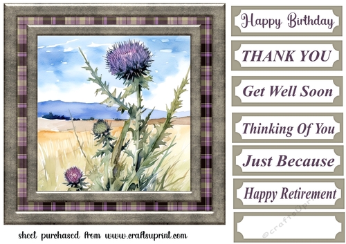 Tartan thistle card front 12