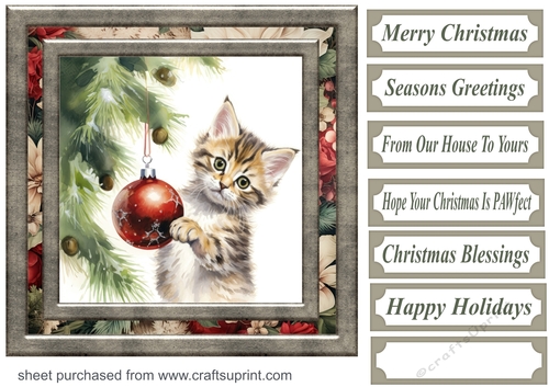 Naughty Christmas kitten card front 1