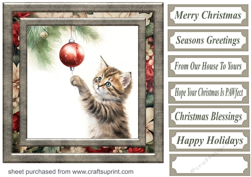 Naughty Christmas kitten card front 2