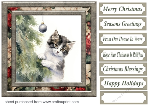 Naughty Christmas kitten card front 3