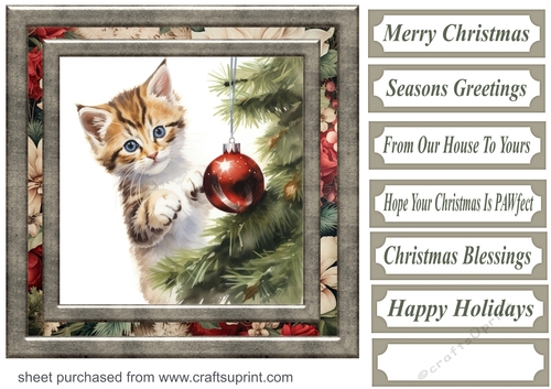 Naughty Christmas kitten card front 4