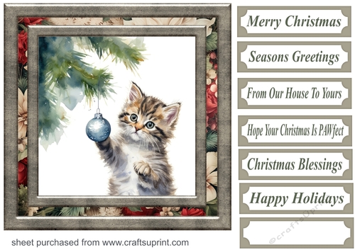 Naughty Christmas kitten card front 5