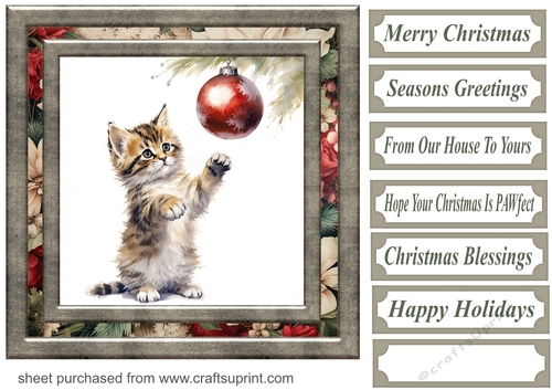 Naughty Christmas kitten card front 6