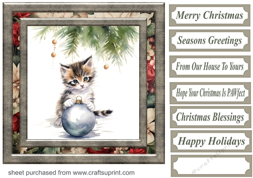 Naughty Christmas kitten card front 7
