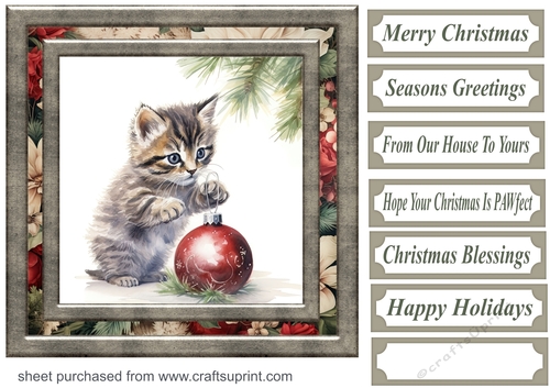 Naughty Christmas kitten card front 8