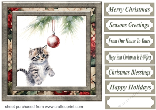 Naughty Christmas kitten card front 9