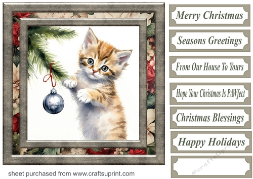 Naughty Christmas kitten card front 10