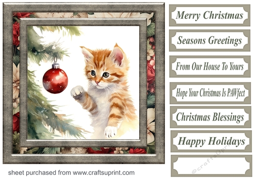 Naughty Christmas kitten card front 11