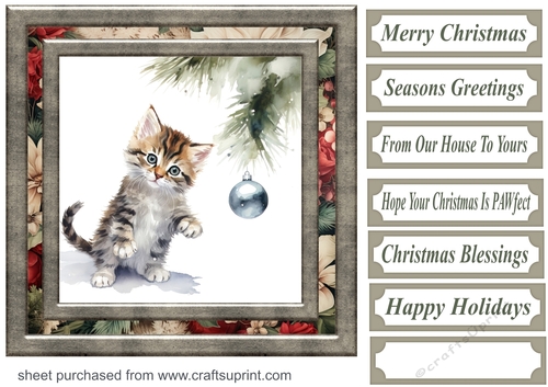 Naughty Christmas kitten card front 12