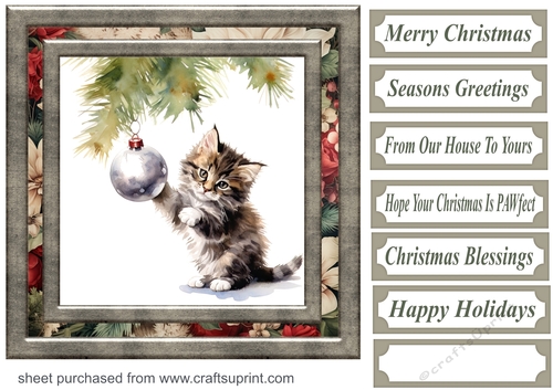 Naughty Christmas kitten card front 13