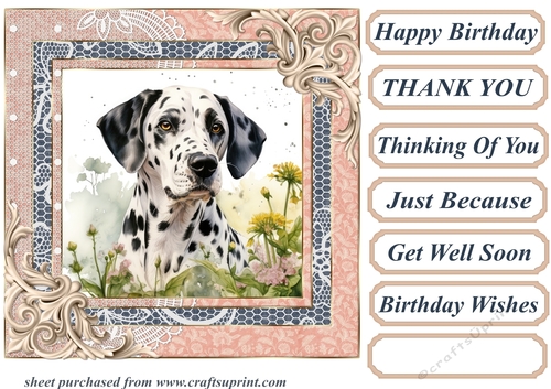Garden Dalmatian card front 1