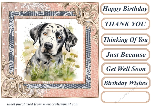 Garden Dalmatian card front 5
