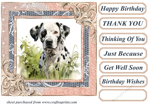 Garden Dalmatian card front 9