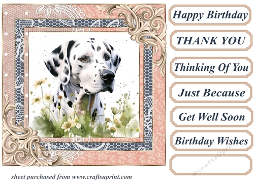 Garden Dalmatian card front 11