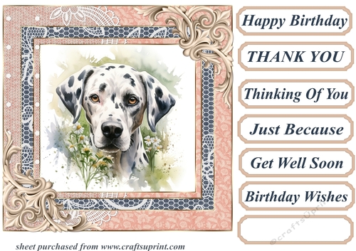 Garden Dalmatian card front 12