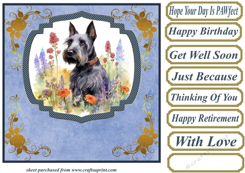 Floral Scottish terrier card front (N) 3