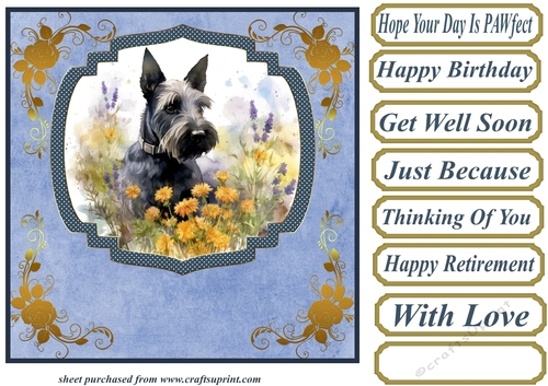 Floral Scottish terrier card front (N) 5