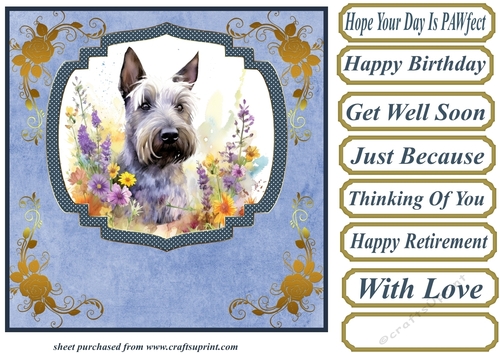Floral Scottish terrier card front (N) 10