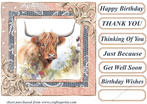 Lace framed hedgerow Highland cow card front 1