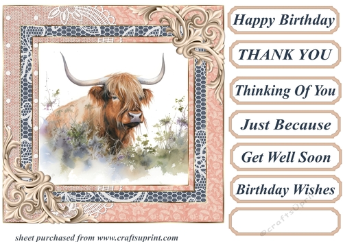 Lace framed hedgerow Highland cow card front 3