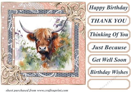 Lace framed hedgerow Highland cow card front 4