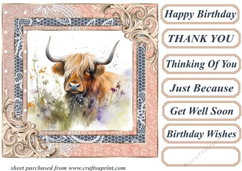 Lace framed hedgerow Highland cow card front 6