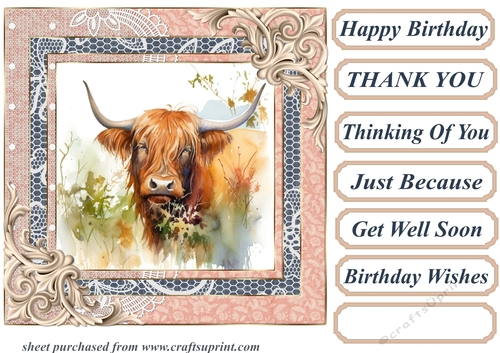Lace framed hedgerow Highland cow card front 7