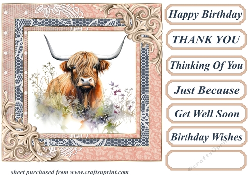 Lace framed hedgerow Highland cow card front 8
