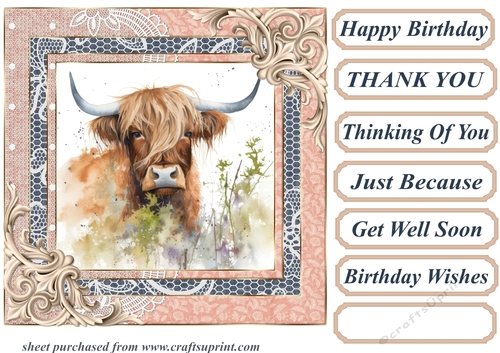 Lace framed hedgerow Highland cow card front 9