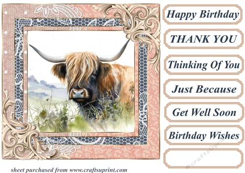 Lace framed hedgerow Highland cow card front 11