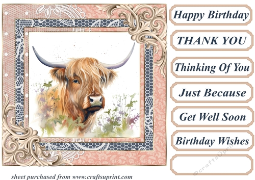 Lace framed hedgerow Highland cow card front 12