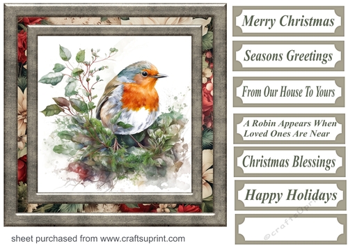 Christmas robin card front 1