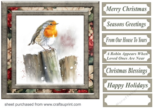 Christmas robin card front 2