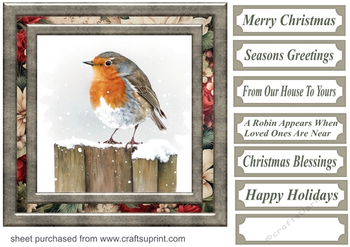 Christmas robin card front 3