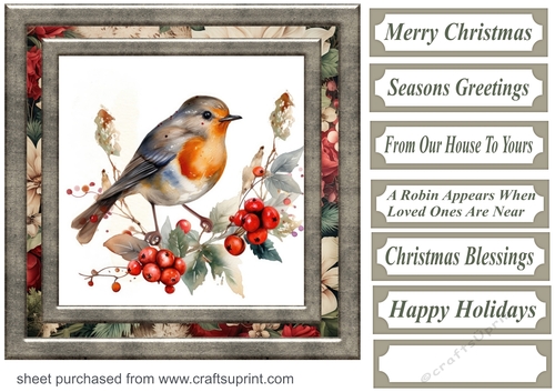 Christmas robin card front 4