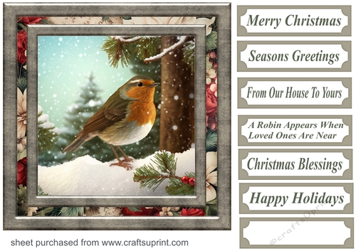 Christmas robin card front 6