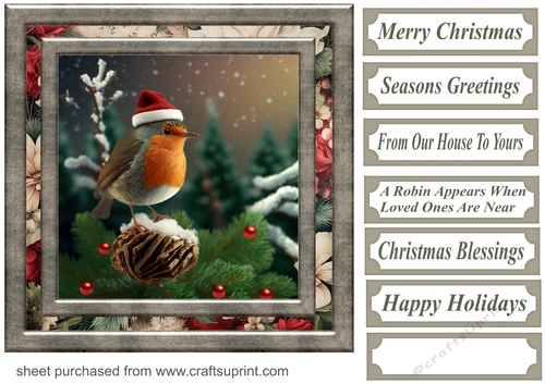Christmas robin card front 7