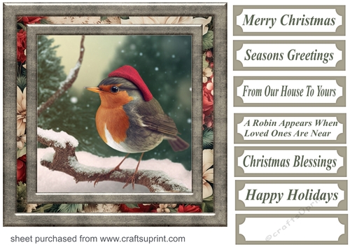Christmas robin card front 8