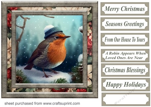 Christmas robin card front 9