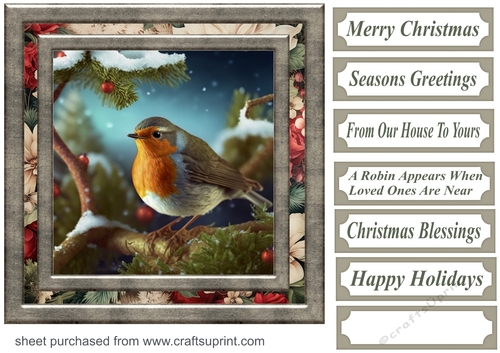 Christmas robin card front 10