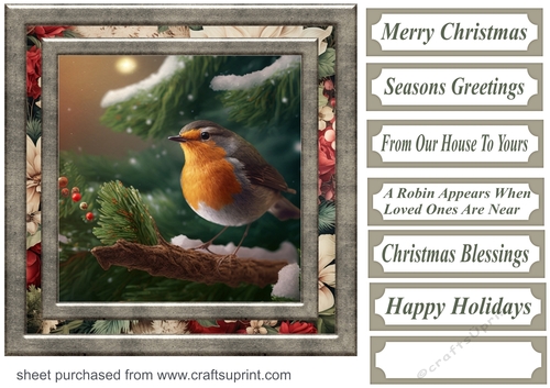 Christmas robin card front 11