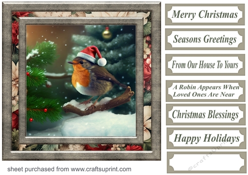 Christmas robin card front 12