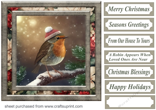 Christmas robin card front 13