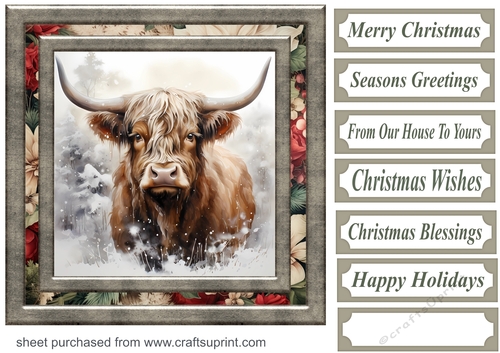 Christmas Highland cow card front 8