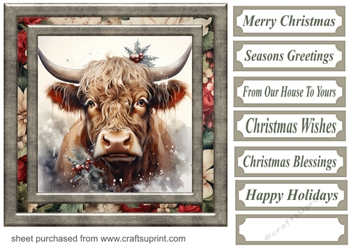 Christmas Highland cow card front 9