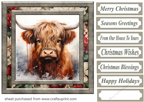 Christmas Highland cow card front 12