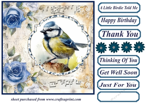 Blue rose a little birdie told me card front