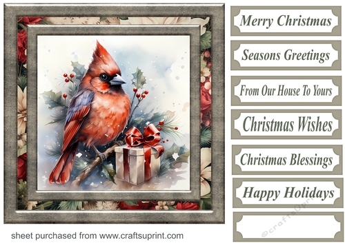 Christmas gift cardinal card front 1